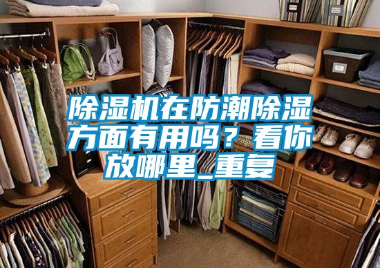 除濕機(jī)在防潮除濕方面有用嗎？看你放哪里_重復(fù)