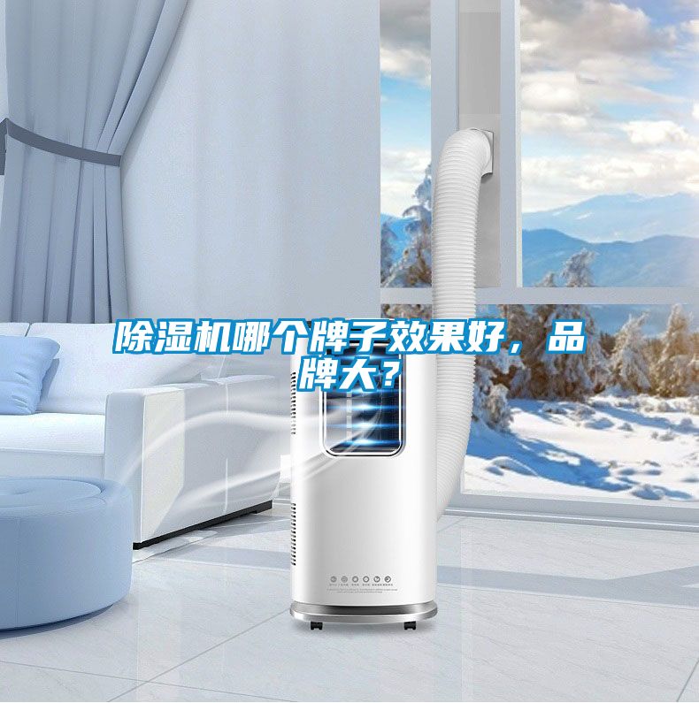 除濕機哪個牌子效果好，品牌大？