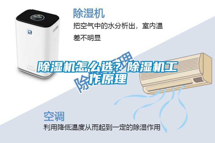 除濕機怎么選？除濕機工作原理