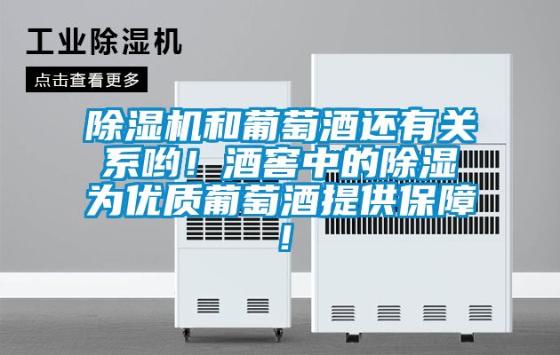 除濕機和葡萄酒還有關(guān)系喲！酒窖中的除濕為優(yōu)質(zhì)葡萄酒提供保障！