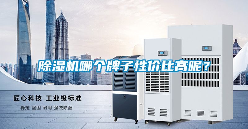 除濕機(jī)哪個(gè)牌子性?xún)r(jià)比高呢？