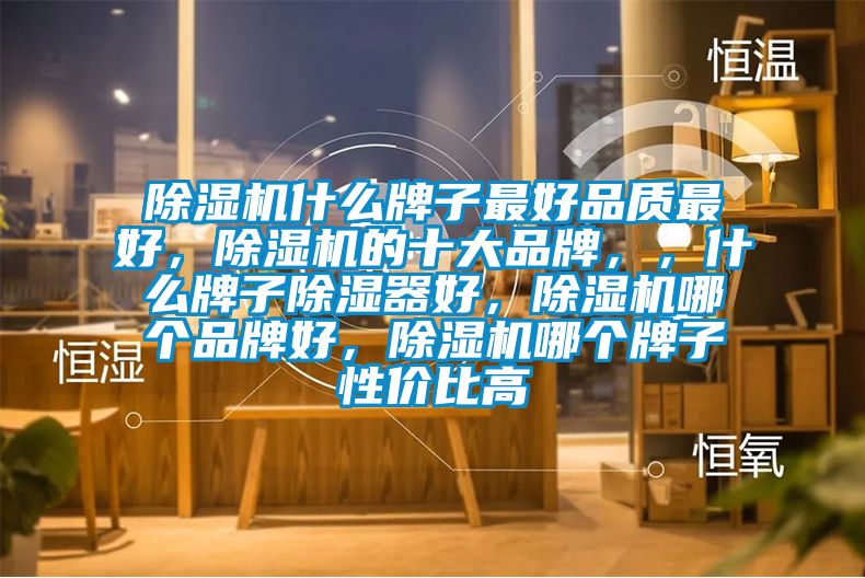 除濕機(jī)什么牌子最好品質(zhì)最好，除濕機(jī)的十大品牌，，什么牌子除濕器好，除濕機(jī)哪個品牌好，除濕機(jī)哪個牌子性價比高
