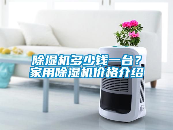 除濕機(jī)多少錢一臺(tái)？家用除濕機(jī)價(jià)格介紹
