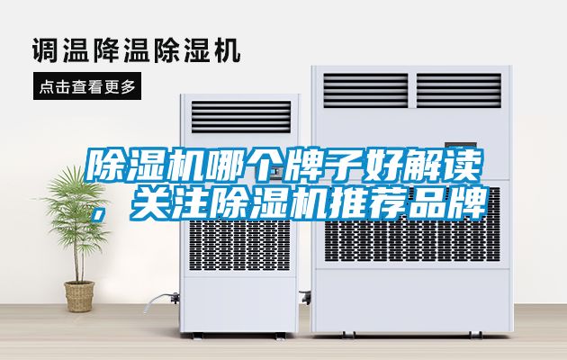 除濕機(jī)哪個(gè)牌子好解讀，關(guān)注除濕機(jī)推薦品牌