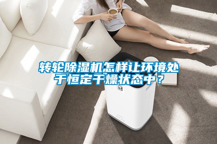 轉(zhuǎn)輪除濕機怎樣讓環(huán)境處于恒定干燥狀態(tài)中？