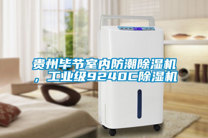 貴州畢節(jié)室內(nèi)防潮除濕機，工業(yè)級9240C除濕機