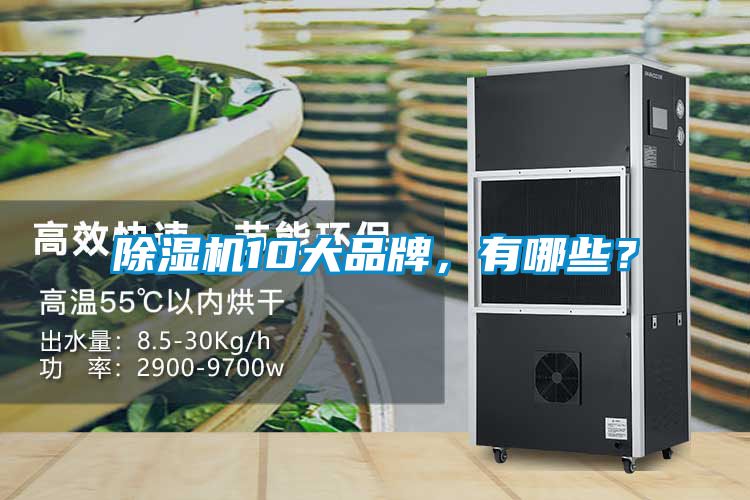 除濕機(jī)10大品牌，有哪些？