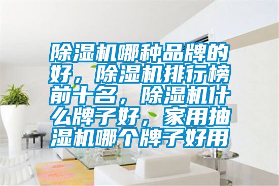除濕機(jī)哪種品牌的好，除濕機(jī)排行榜前十名，除濕機(jī)什么牌子好，家用抽濕機(jī)哪個(gè)牌子好用