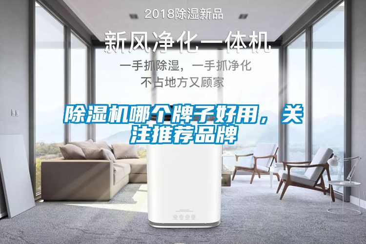 除濕機(jī)哪個(gè)牌子好用，關(guān)注推薦品牌
