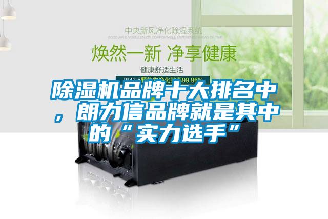 除濕機(jī)品牌十大排名中，朗力信品牌就是其中的“實(shí)力選手”