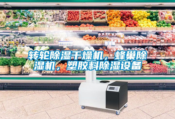 轉(zhuǎn)輪除濕干燥機(jī)，蜂巢除濕機(jī)，塑膠料除濕設(shè)備