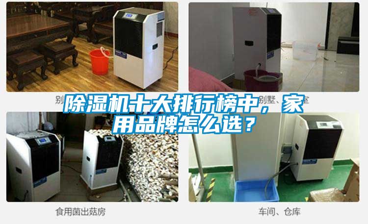 除濕機十大排行榜中，家用品牌怎么選？