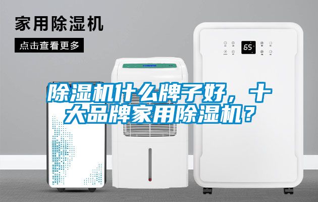 除濕機(jī)什么牌子好，十大品牌家用除濕機(jī)？
