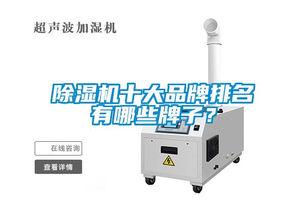 除濕機十大品牌排名有哪些牌子？