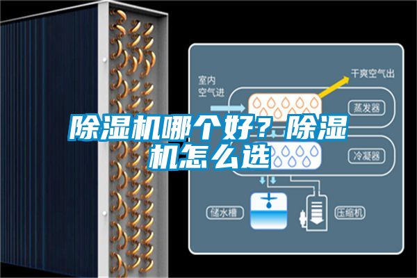 除濕機哪個好？除濕機怎么選