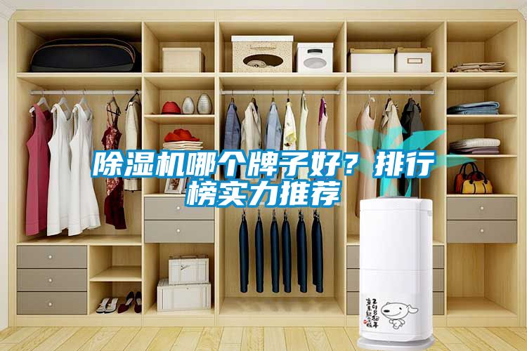 除濕機哪個牌子好？排行榜實力推薦