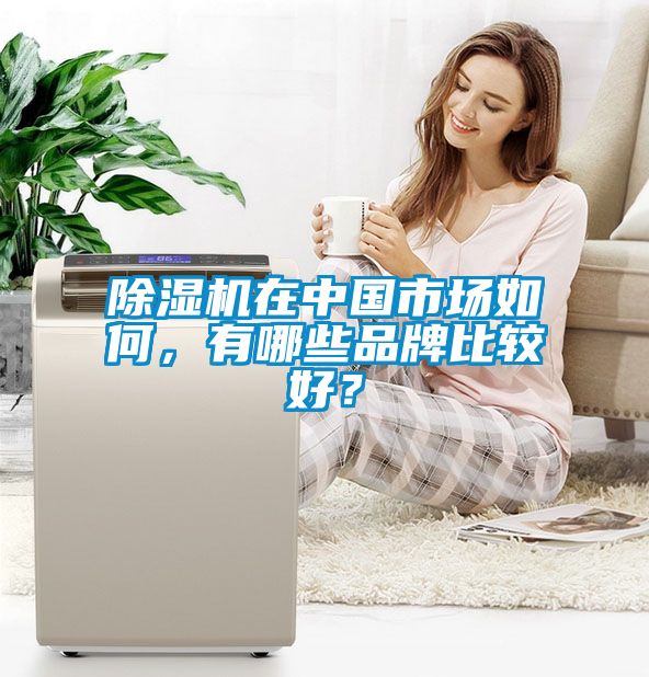 除濕機(jī)在中國市場(chǎng)如何，有哪些品牌比較好？