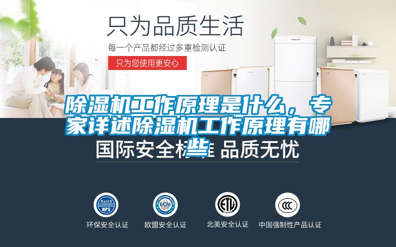除濕機(jī)工作原理是什么，專家詳述除濕機(jī)工作原理有哪些