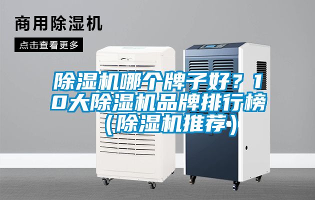除濕機(jī)哪個(gè)牌子好？10大除濕機(jī)品牌排行榜（除濕機(jī)推薦）