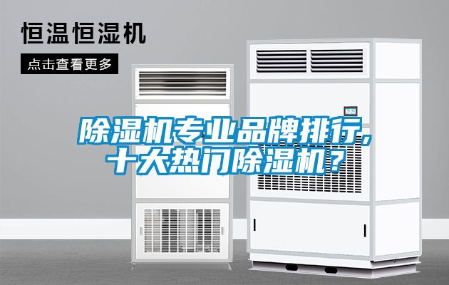 除濕機(jī)專業(yè)品牌排行,十大熱門除濕機(jī)？