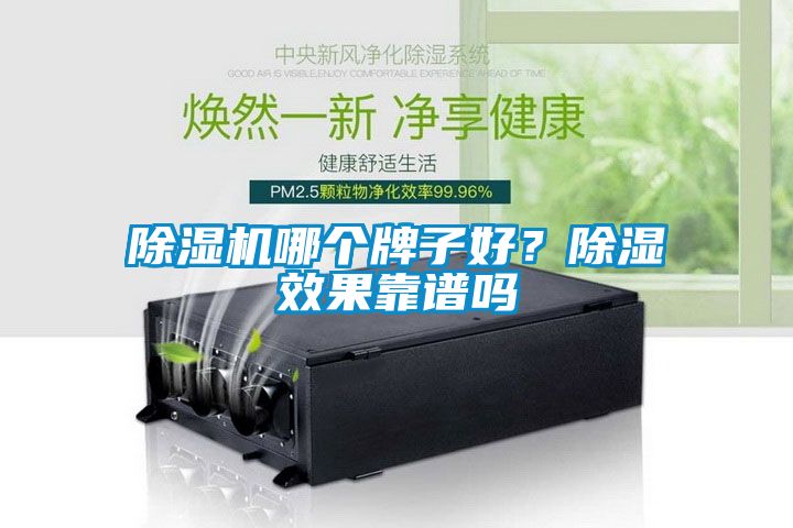 除濕機(jī)哪個(gè)牌子好？除濕效果靠譜嗎
