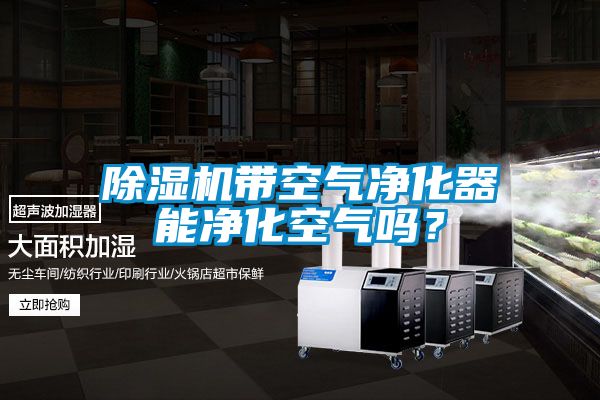 除濕機(jī)帶空氣凈化器能凈化空氣嗎？