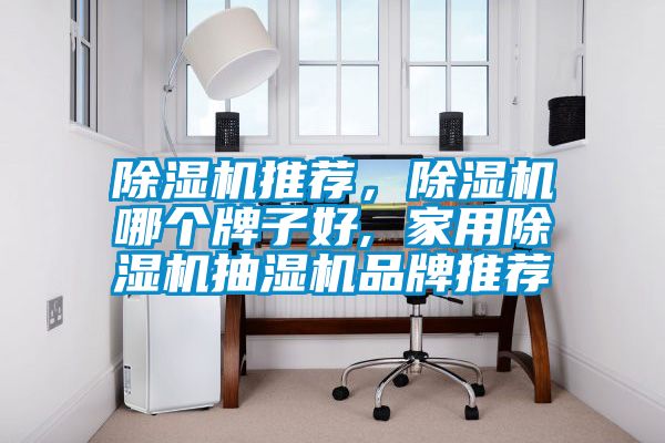 除濕機(jī)推薦，除濕機(jī)哪個(gè)牌子好, 家用除濕機(jī)抽濕機(jī)品牌推薦