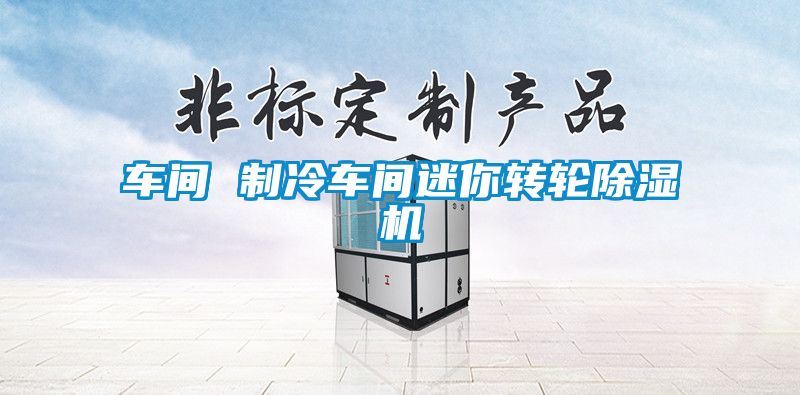 車間 制冷車間迷你轉(zhuǎn)輪除濕機