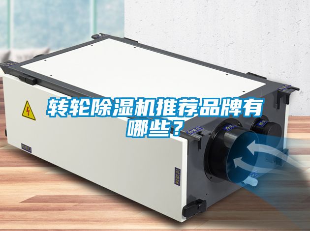 轉(zhuǎn)輪除濕機(jī)推薦品牌有哪些？