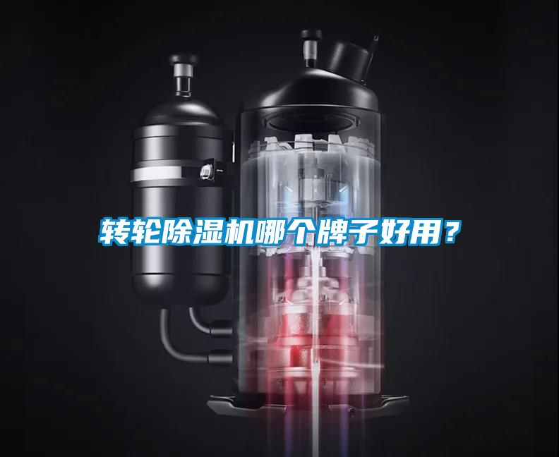 轉輪除濕機哪個牌子好用？