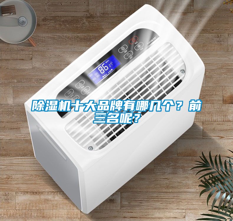 除濕機十大品牌有哪幾個？前三名呢？