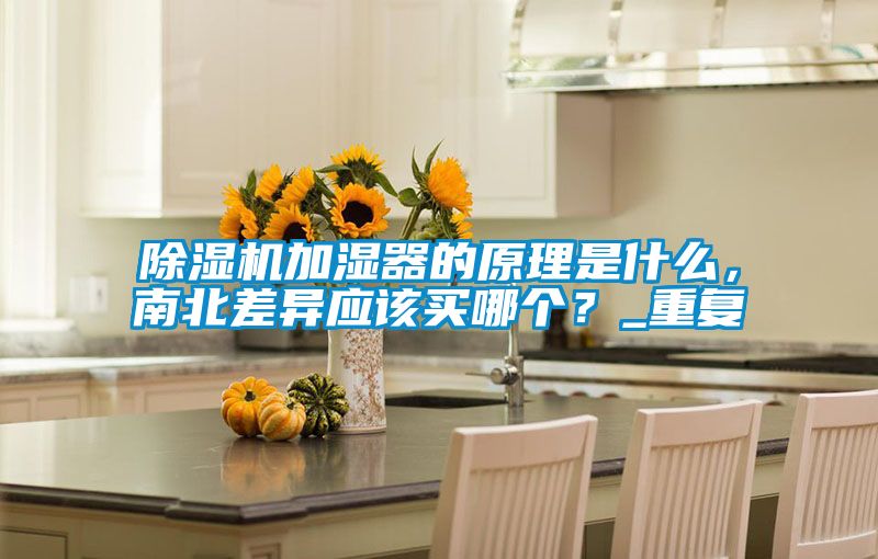 除濕機(jī)加濕器的原理是什么，南北差異應(yīng)該買哪個(gè)？_重復(fù)