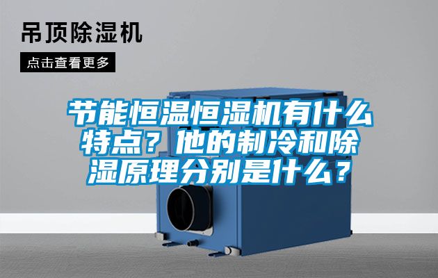 節(jié)能恒溫恒濕機(jī)有什么特點(diǎn)？他的制冷和除濕原理分別是什么？