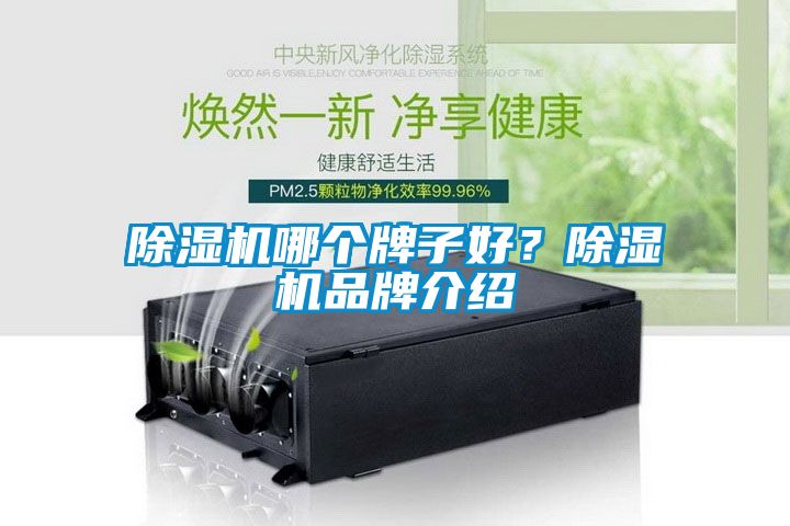 除濕機哪個牌子好？除濕機品牌介紹