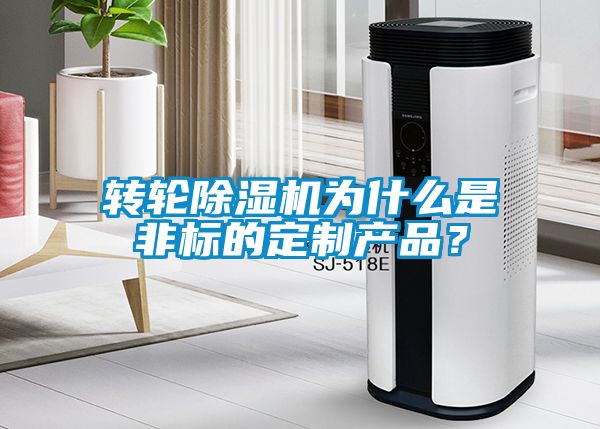 轉(zhuǎn)輪除濕機(jī)為什么是非標(biāo)的定制產(chǎn)品？