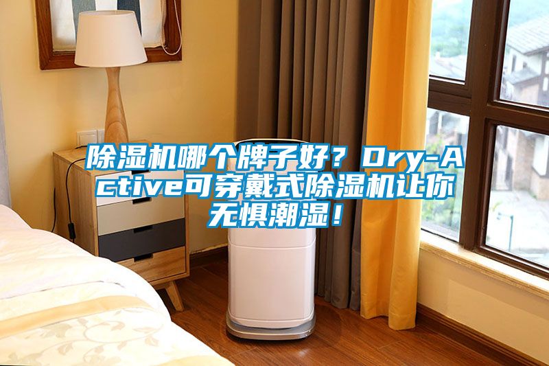 除濕機哪個牌子好？Dry-Active可穿戴式除濕機讓你無懼潮濕！