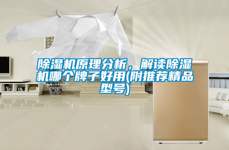除濕機(jī)原理分析，解讀除濕機(jī)哪個(gè)牌子好用(附推薦精品型號)