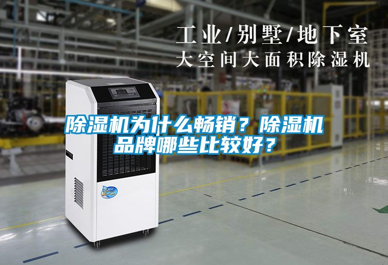 除濕機(jī)為什么暢銷？除濕機(jī)品牌哪些比較好？