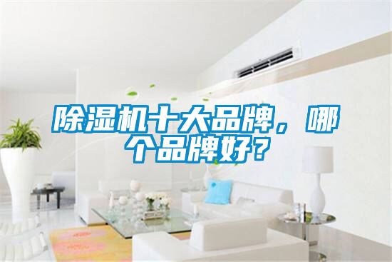 除濕機十大品牌，哪個品牌好？
