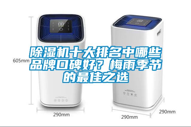除濕機十大排名中哪些品牌口碑好？梅雨季節(jié)的最佳之選