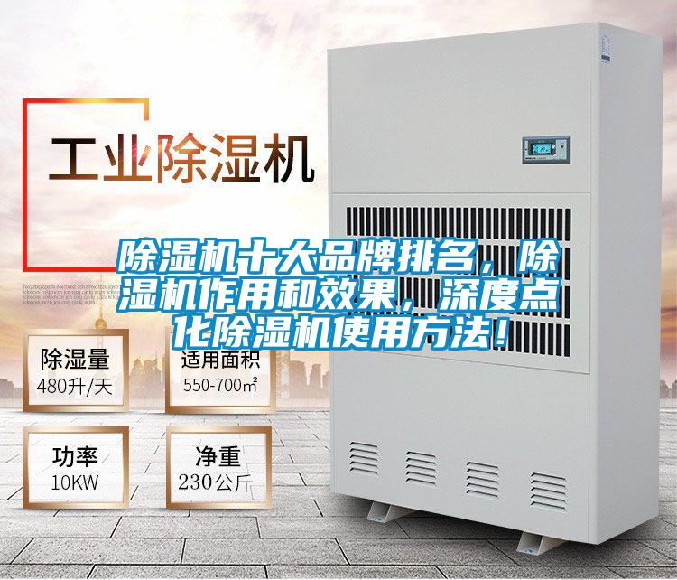 除濕機十大品牌排名，除濕機作用和效果，深度點化除濕機使用方法！