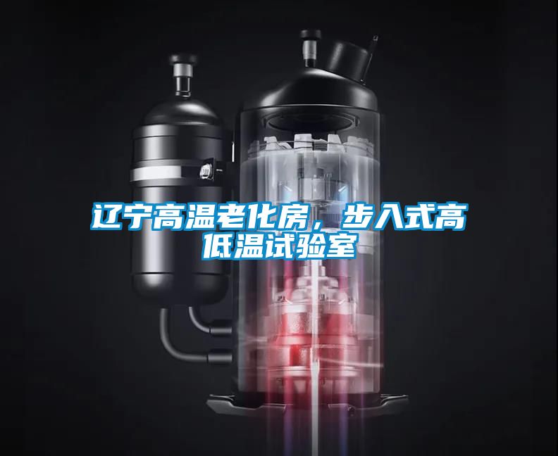 遼寧高溫老化房，步入式高低溫試驗(yàn)室