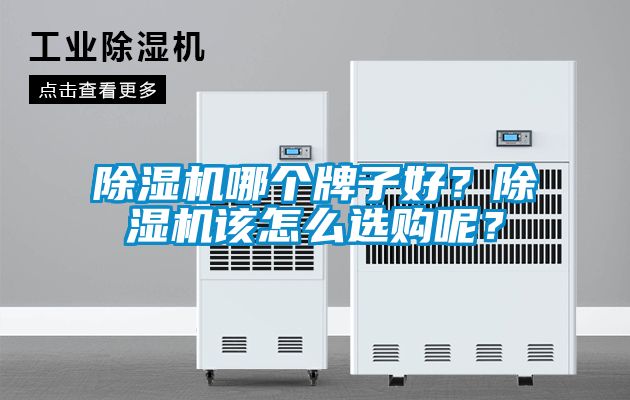 除濕機(jī)哪個(gè)牌子好？除濕機(jī)該怎么選購(gòu)呢？