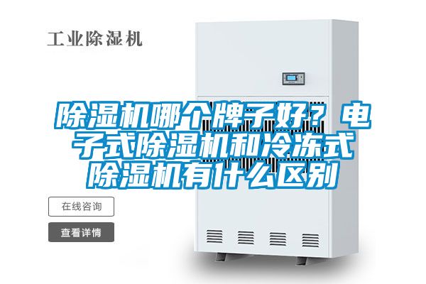 除濕機哪個牌子好？電子式除濕機和冷凍式除濕機有什么區(qū)別
