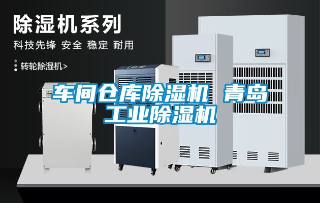 車間倉庫除濕機 青島工業(yè)除濕機