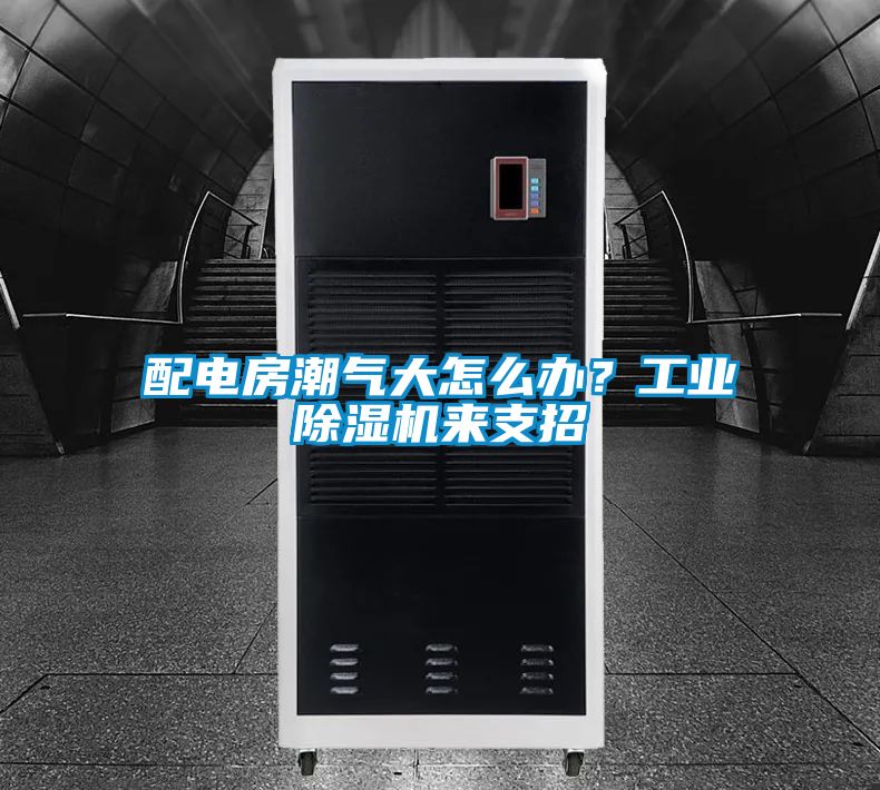 配電房潮氣大怎么辦？工業(yè)除濕機(jī)來支招