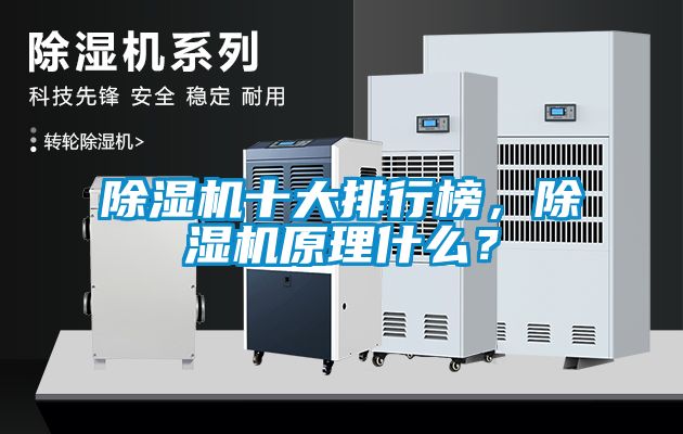 除濕機(jī)十大排行榜，除濕機(jī)原理什么？