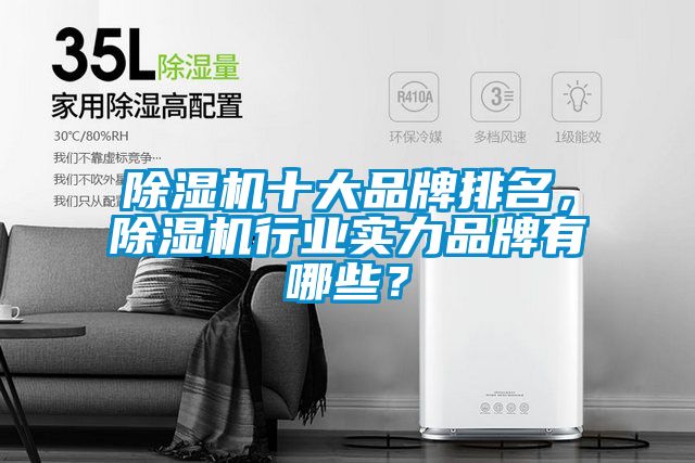 除濕機十大品牌排名，除濕機行業(yè)實力品牌有哪些？