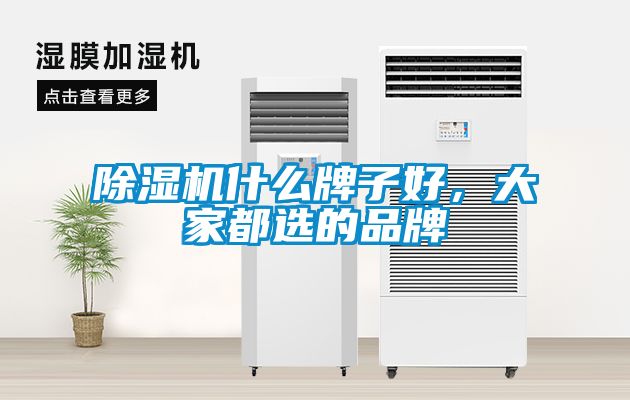 除濕機(jī)什么牌子好，大家都選的品牌
