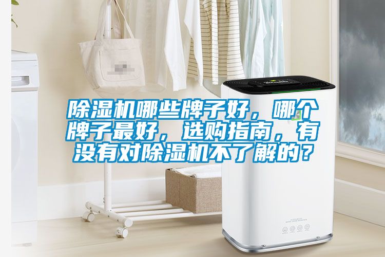 除濕機(jī)哪些牌子好，哪個(gè)牌子最好，選購指南，有沒有對除濕機(jī)不了解的？